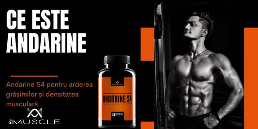 ce este andarine s4