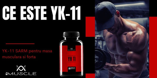 ce este yk-11
