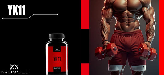 Acțiunea SARMs YK11